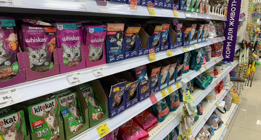 "Перестаньте травить этим кошек": в Роскачестве озвучили самые худшие марки корма для питомцев