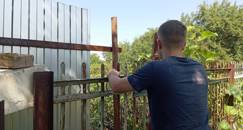 Коллега съездил в деревню к родне и приехал  с пустыми руками: чего им, жалко что ли - за что его не угостили урожаем