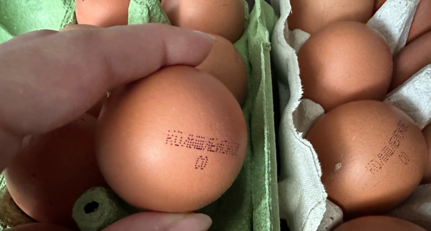 Работники птицефабрик никогда не берут яйца в магазинах категории СО: вот почему стоит их обходить стороной - запомните навсегда