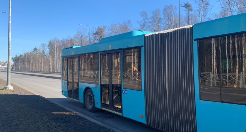 Экскурсионный автобус, следовавший из Нижнего Ломова, опрокинулся в Мордовии