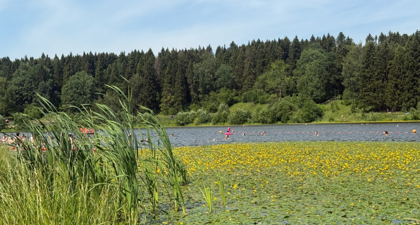 МЧС предупреждает жителей области о жаре и грозах
