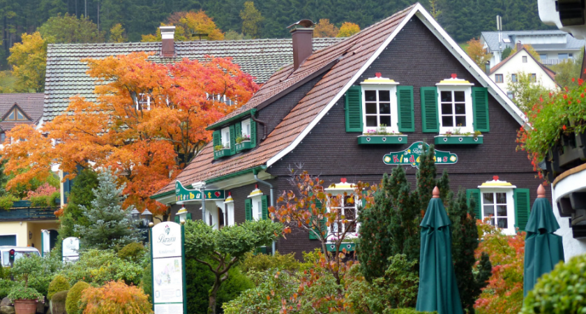 Бесят даже немцев: 5 нелепых "нельзя" на дачах в Германии - в России такое даже трудно представить