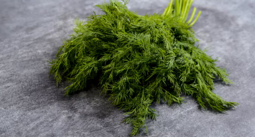 Зелень больше не морожу и не сушу на зиму: делаю из укропа, петрушки и чеснока ароматную приправу, хранится годами - а сколько пользы