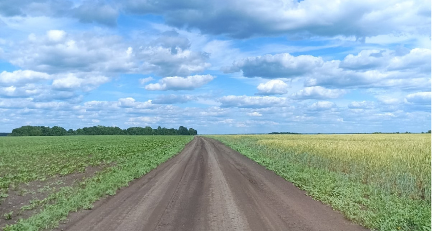 Пензенская область экспортировала за границу более 40 тыс. тонн свекловичного жома