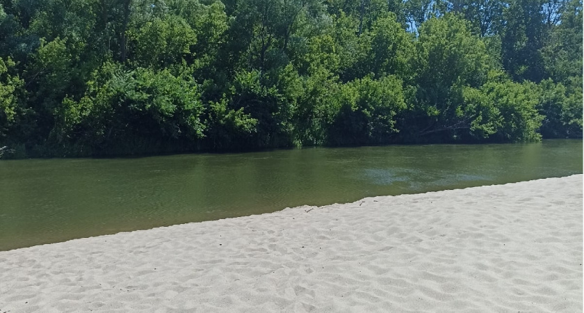 В Пензенской области 24 пляжа по-прежнему опасны для купания