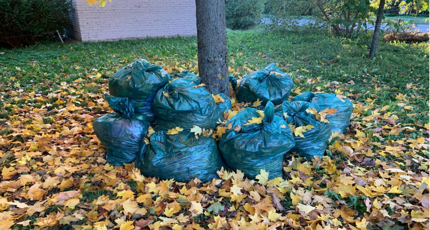 В Пензенской области ликвидируют свалки в рамках проекта «Генеральная уборка»