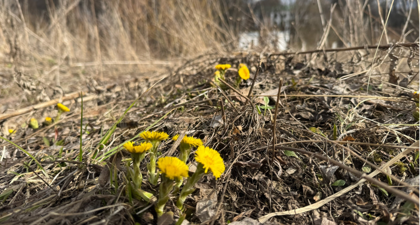 Пензенская компания оштрафована за загрязнение почвы сточными водами