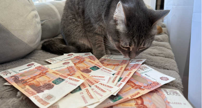 Вступил в силу приговор в отношении пензенцев, пойманных на «обналичивании» денег