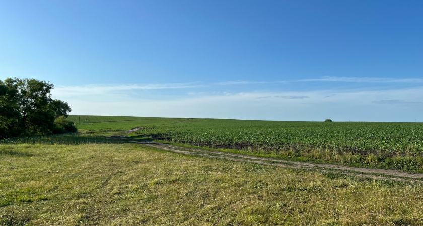 В Белинском районе аграрии начали использовать новую систему орошения