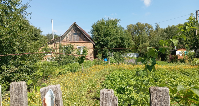 Купила дом в деревне, чтобы начать жизнь заново, но местные дали понять: здесь чужих не любят - о причинах поняла позже