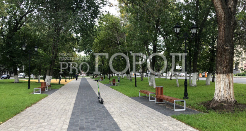 Опасные вредители добрались до Пушкинского сквера: деревья попали под бензопилу