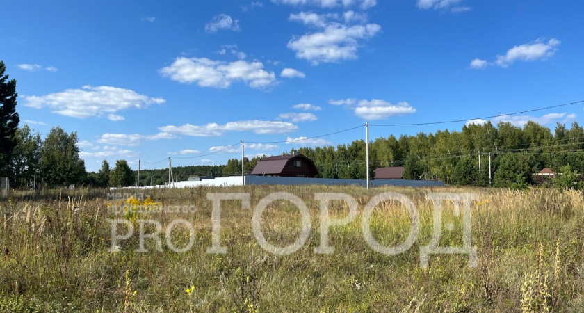 В Мокшане выявлен очаг бешенства