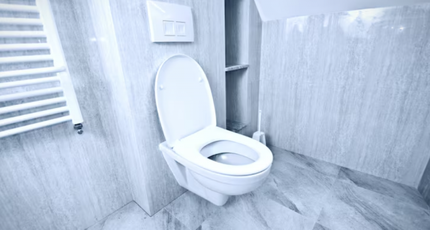 Как живут в Японии: отличие гигиены японских женщин, благодаря которым у них чистые туалеты, каких нет нигде в мире 