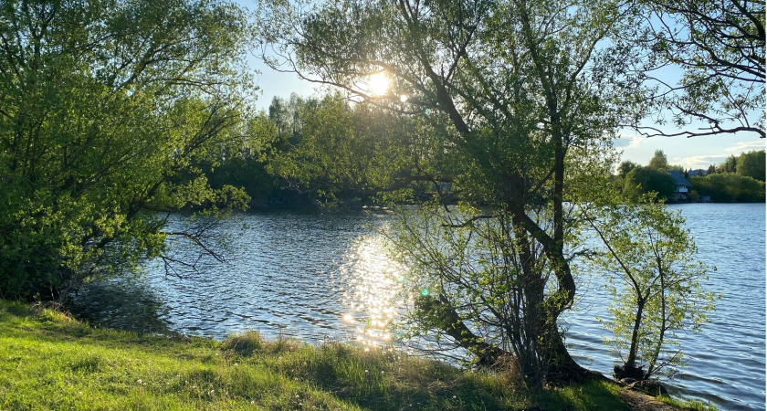 В Пензенской области проверили состояние пяти бесхозяйных ГТС
