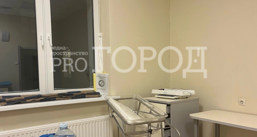 Один хорошо, а двое — лучше. Пензенцам дадут миллион за рождение второго ребёнка: как получить сертификат 