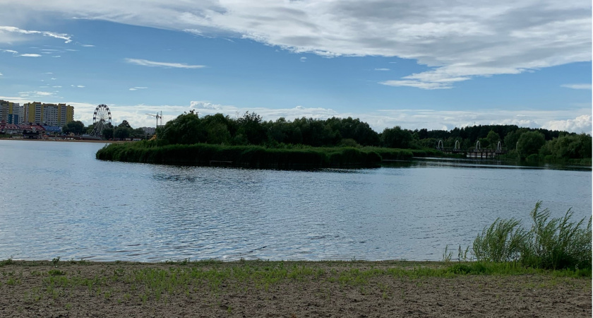 Пензенская компания не возместила причиненный вред природе в установленный срок