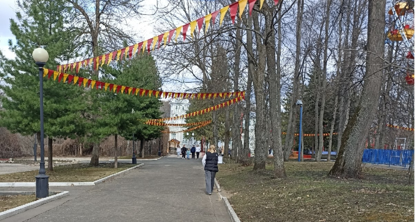В Детском парке деревья, пораженные ясеневой златкой, будут спилены 