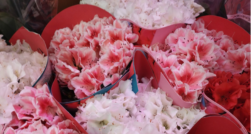 У пензенцев есть шанс отпраздновать юбилей брака в ЗАГСе