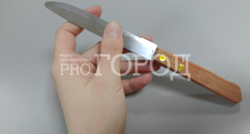 30-летняя пензячка покалечила супруга ножом во время застолья