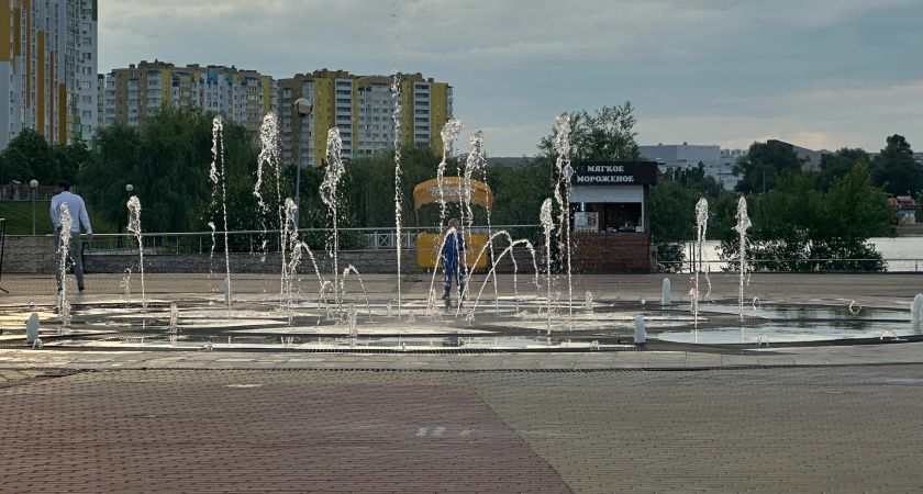 В Пензе усилят контроль за нарушениями правил благоустройства