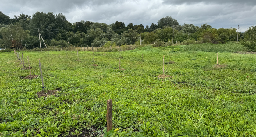 В Бессоновском районе посадили сад в память о героях