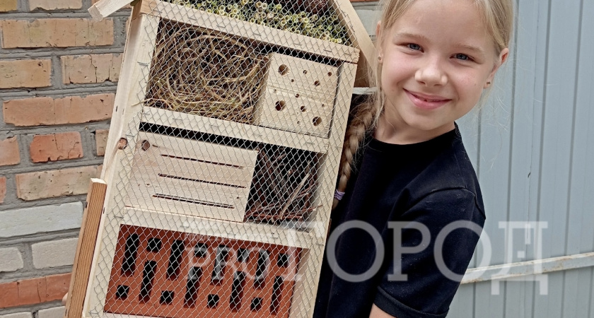 В Пензу пришла эпидемия каштановой минирующей моли: четырехклассница нашла эффективный способ борьбы с опасным вредителем