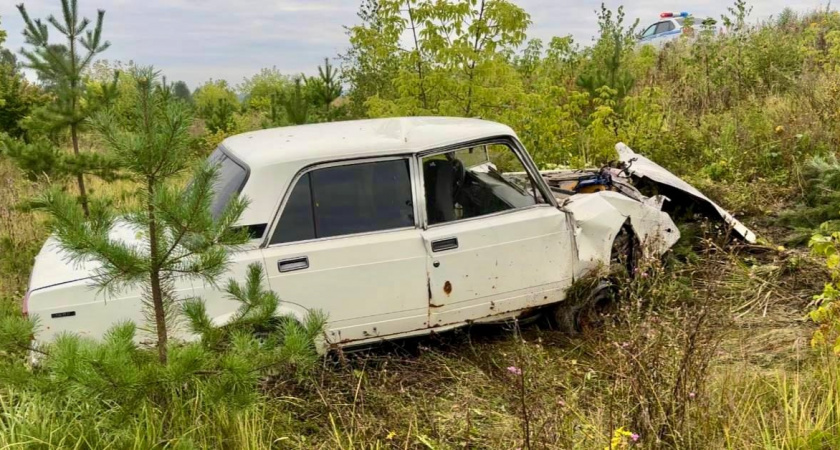 В Никольском районе 17-летний водитель «семерки» врезался в столб