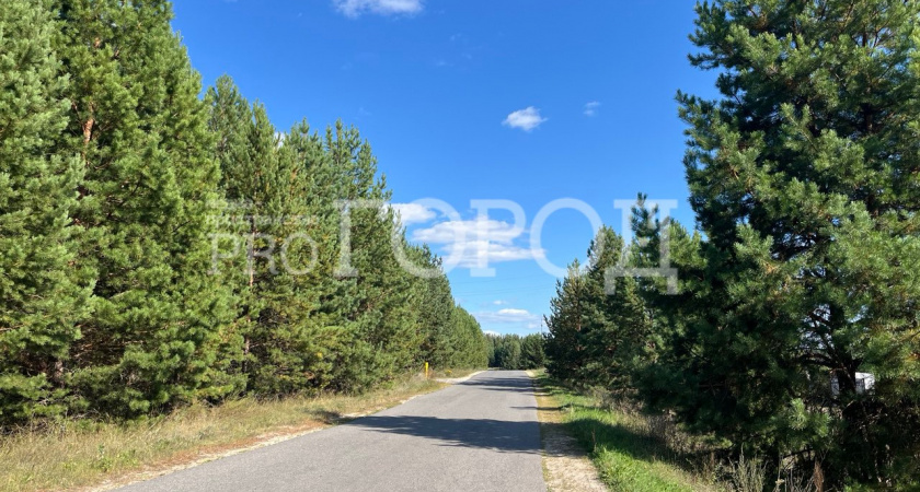 В Бессоновском районе погиб пожилой водитель мопеда 