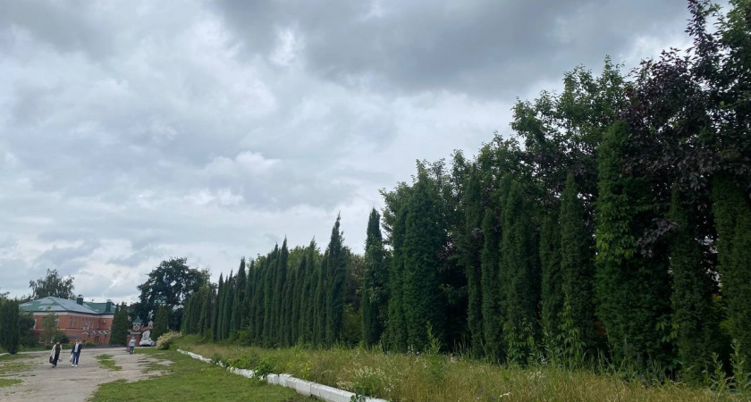 Кузнецк получит средства на благоустройство Центрального и Восточного кладбищ