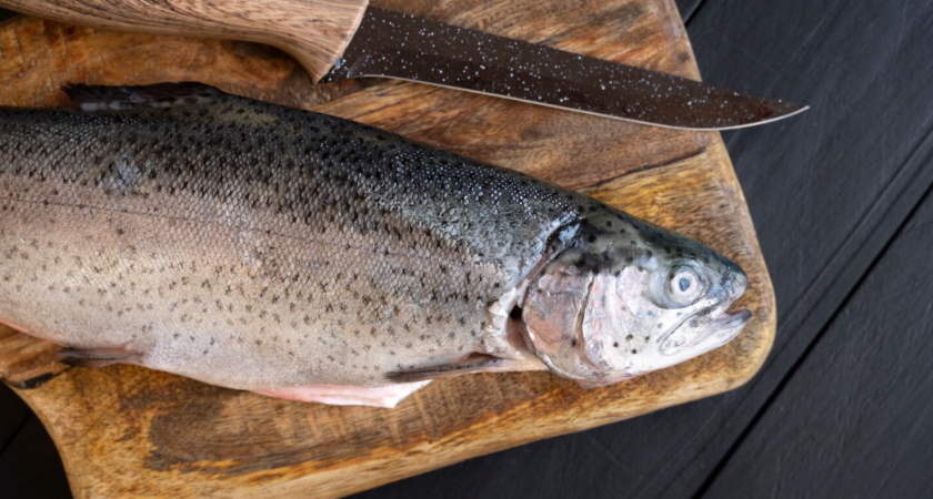 Почему на Камчатке не едят горбушу? Разоблачение мифа