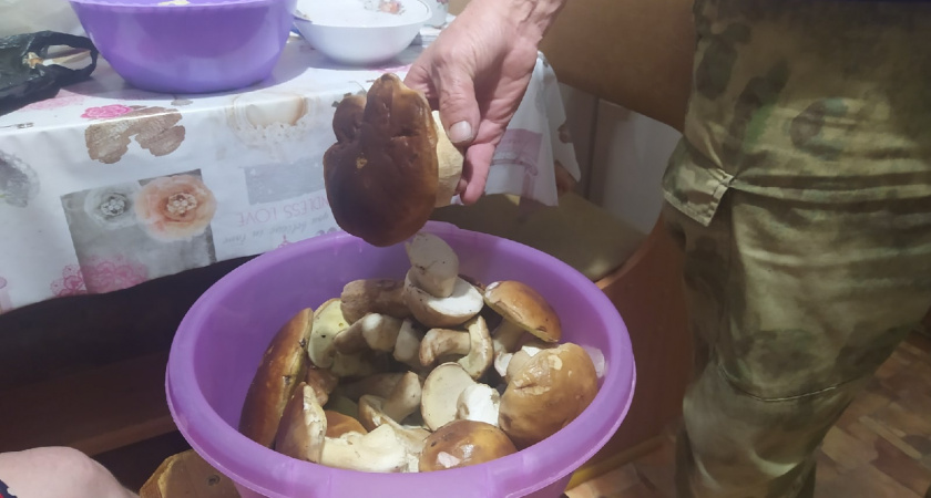 Таблица времени варки грибов. Как варить белые, опята, лисички