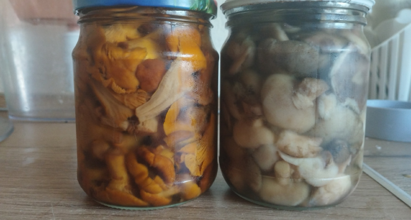 Почему соленые грибы портятся? Секрет успеха и главная ошибка при засолке
