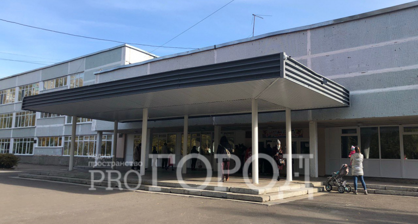 У пензенских школ насчитали свыше 200 аварийных деревьев