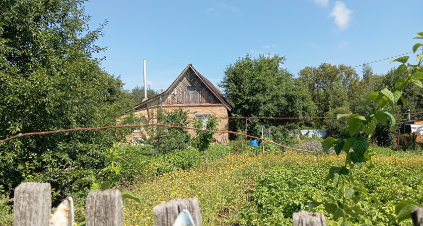 Подводные камни жизни в деревне. О чем молчат продавцы домов