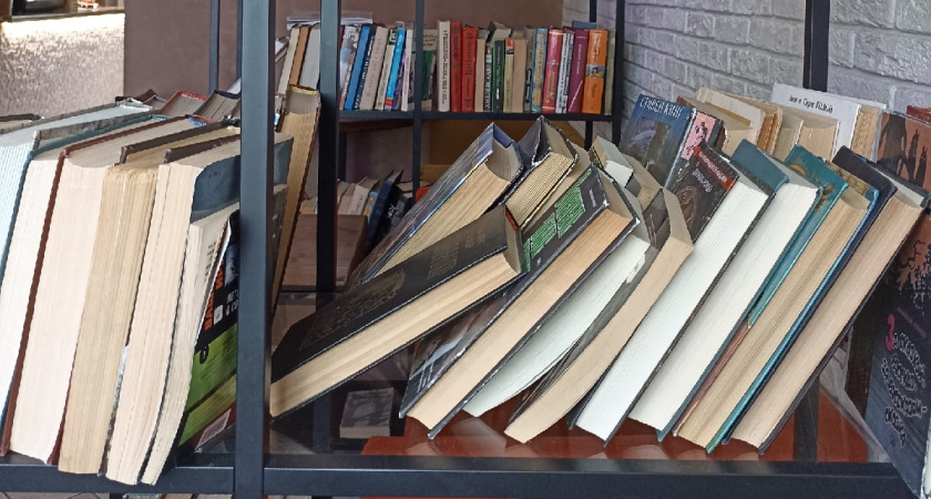 Проект пензенских библиотекарей стал лучшим на Всероссийском конкурсе авторских программ