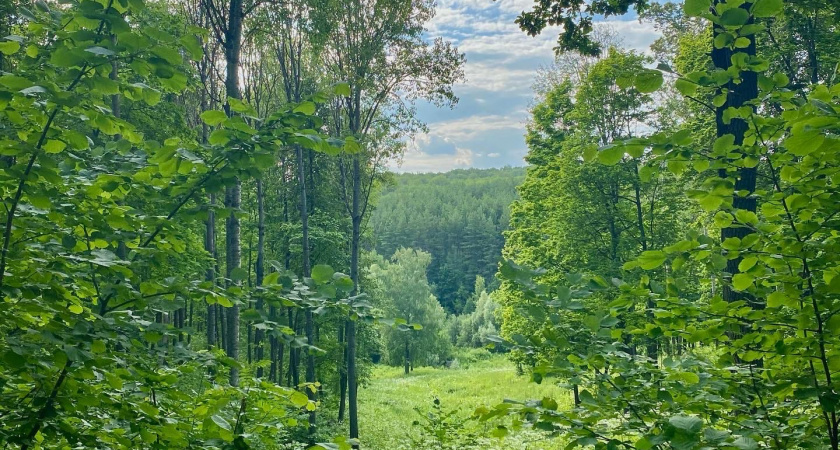 В Пензенской области охотничий билет теперь можно получить с 16 лет