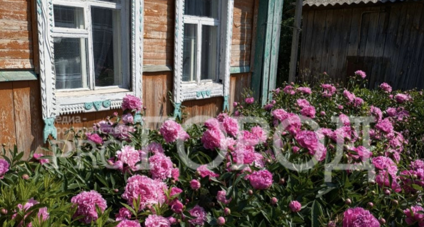 Жители села Салтыково собирают деньги на памятник «Журавли»