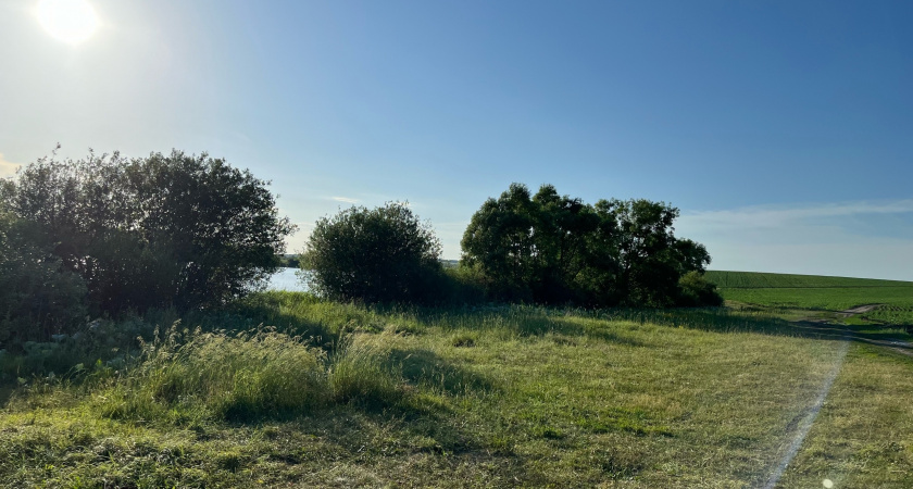 Древнее селище в Бессоновском районе признали объектом культурного наследия