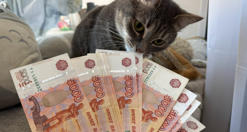 Стал известен график выплат пособий в Пензенской области в сентябре 2025 года