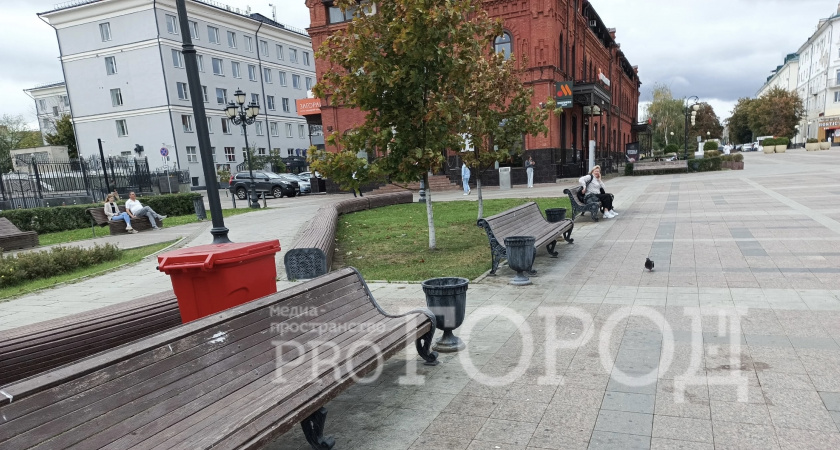 Красные контейнеры для сбора мусора появились на главной улице Пензы не случайно