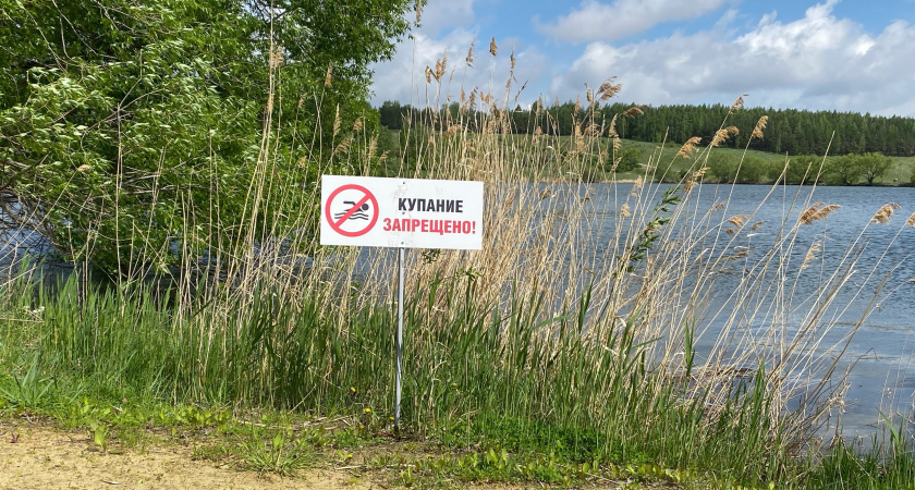 В Пензенской области во время купального сезона утонуло 6 человек 
