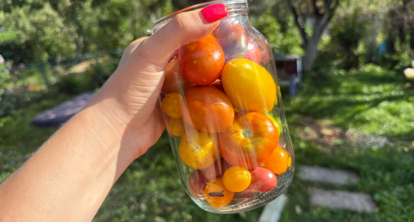 Сладкие помидоры на зиму: ароматный маринад без хлопот