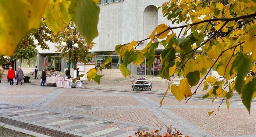 В центре Пензы в рамках экологической акции высажено 300 саженцев