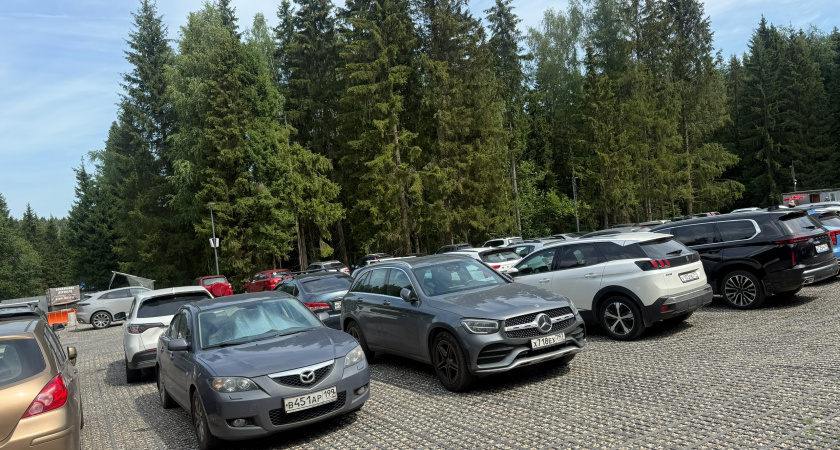 Китайские автомобили на российском рынке: неожиданный выбор или вынужденная мера?