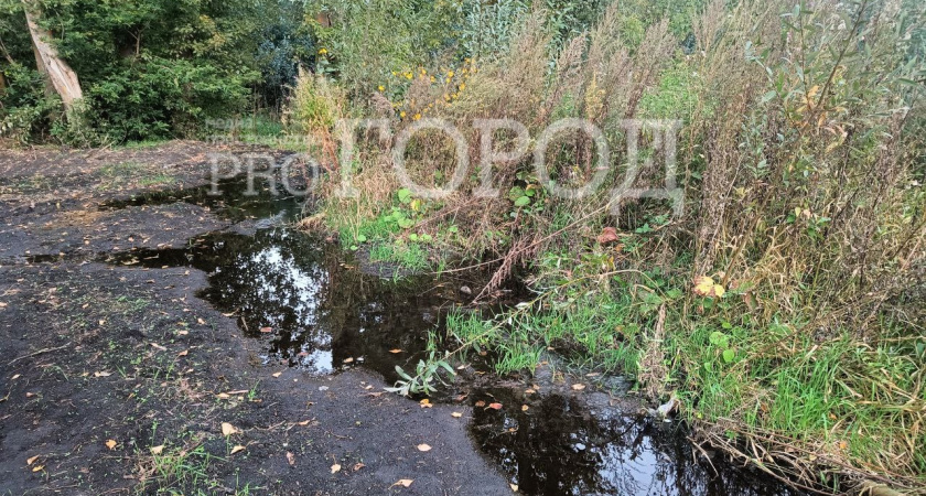 Канализационные стоки травят жителей Зари и реку Пензятку