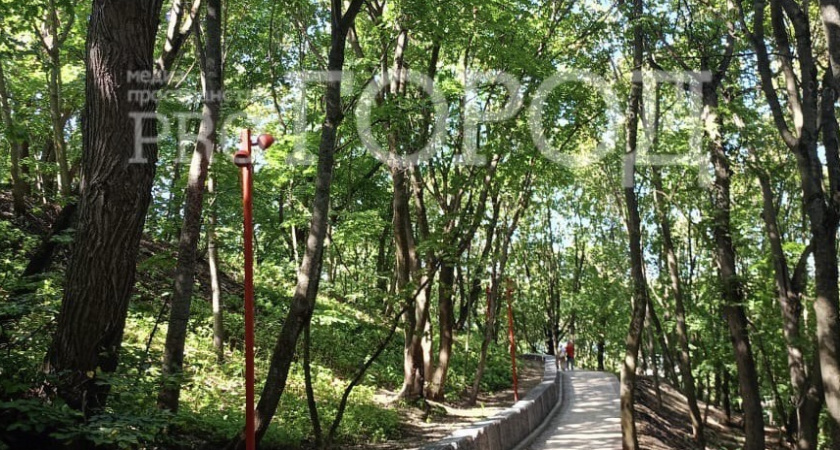 За семь дней число пострадавших от нападения клещей детей выросло в области