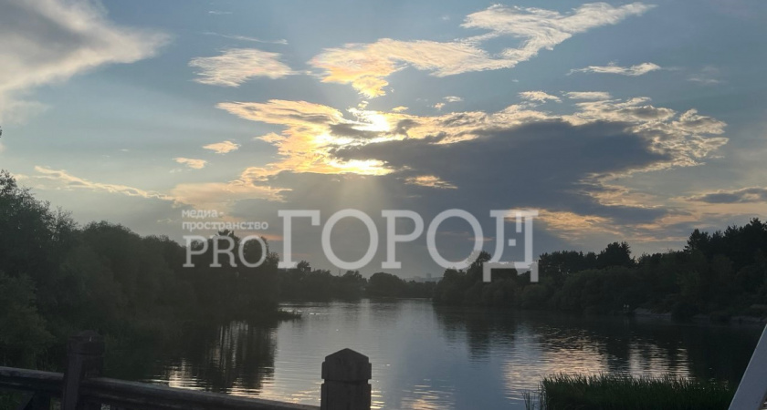 В селе Владыкино обнаружили тело на воде