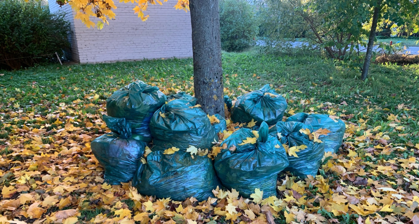 В с. Свищевка Белинского района завершилась ликвидация крупной свалки