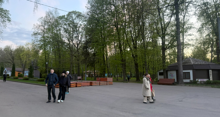 С территории парка «Древландия» начали вывозить деревянные фигуры