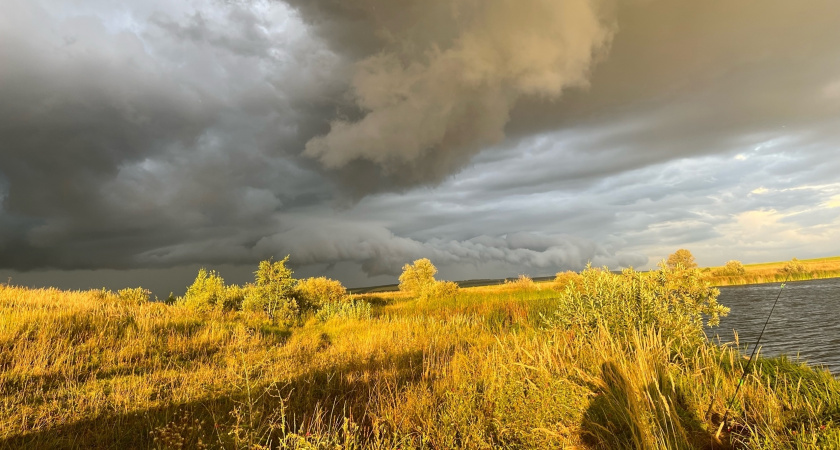 Пензенским сельхозпредприятиям, использовавшим пестициды с нарушениями, назначен крупный штраф